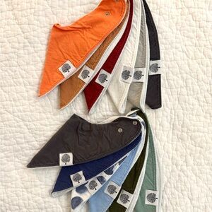 Set of 12 Parker Bandana Bibs